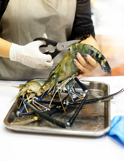 istock chef cooking seafood, Hand cutting raw black tiger prawn 1125547736