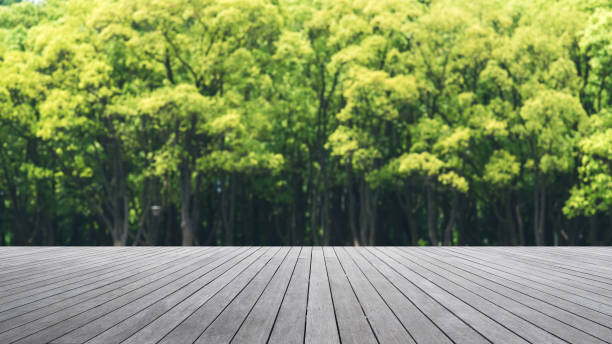 istock Empty Wooden Platform And Spring Green Forest Blurred Abstract Background 1125551704