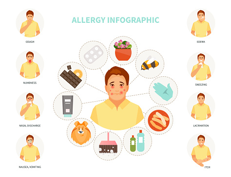 Allgey Allergy Infographic Vector Stock Illustration - Download Image Now ...