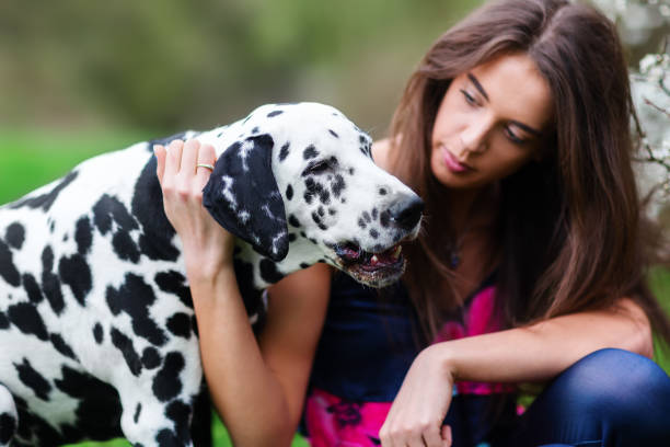 istock young woman hugs a Dalmatian dog 1125557152