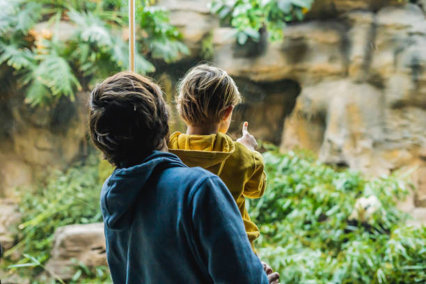 istock Dad and son watch panda eat bamboo 1125563783