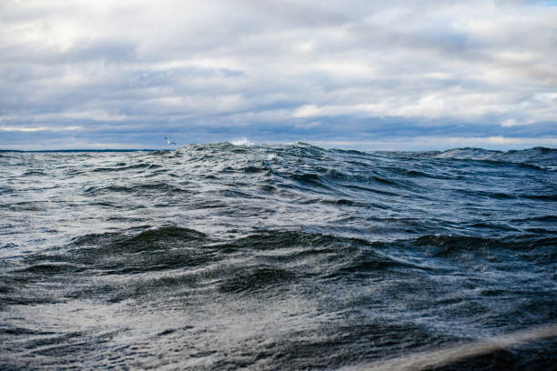 istock Winter sailing. Cold blue sea at sunset. waves and clouds, Norway 1125565093