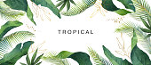 istock Watercolor vector banner tropical leaves isolated on white background. 1125566671