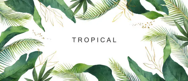 Vector illustration of Watercolor vector banner tropical leaves isolated on white background.