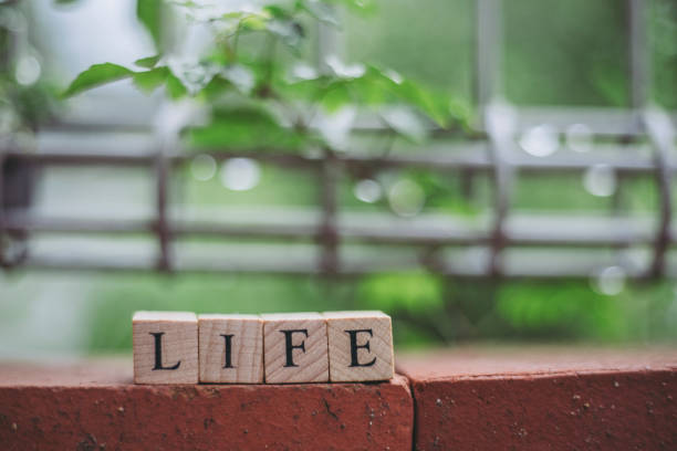 istock Wood block and life 1125568170