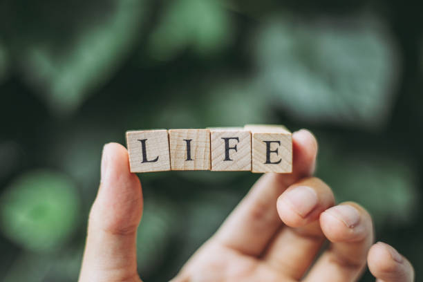 istock Wood block and life 1125568176
