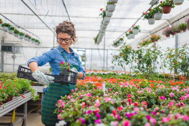 istock Florists women working with flowers in a greenhouse 1125569310