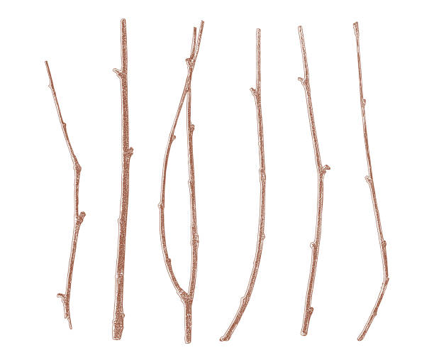 istock Set of six twigs cut out on white background 1125569891