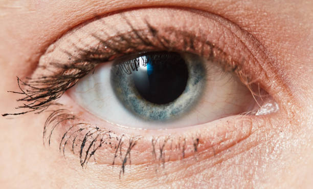istock Close-up of beautiful blue eye 1125575143