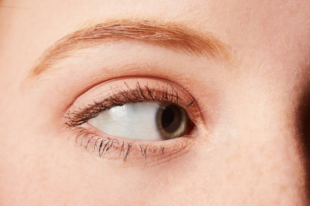 istock Close-up of woman's eye looking to her left 1125575775