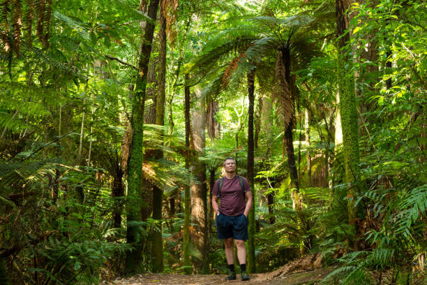 istock Walking in summer through a local forest 1125578091