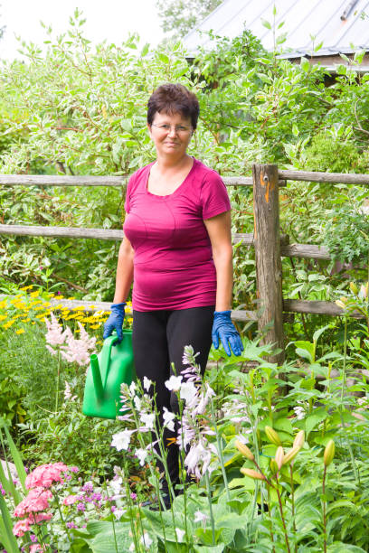 pozytywne uśmiechnięte starsze kobiety opiekujące się roślinami w letnim ogrodzie, podlewanie kwiatów puszką podlewania - senior women rose women flower bed zdjęcia i obrazy z banku zdjęć