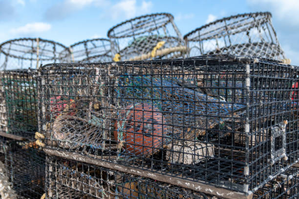 Iron cage for catching fish for raising fish industrial in Thailand