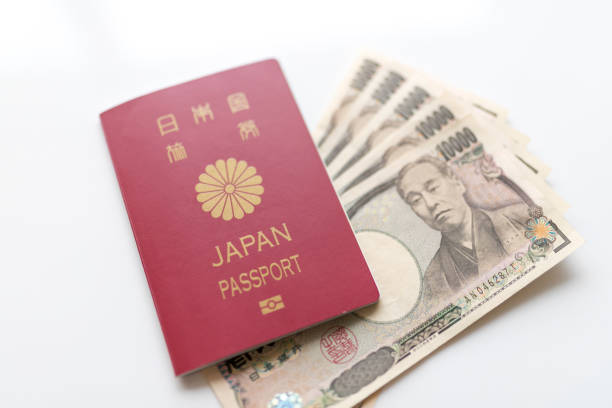 istock Japanese passport, no person 1125583909