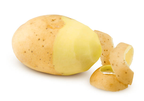 istock potato, isolated on white background, clipping path, full depth of field 1125584333