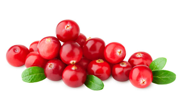 istock cranberry isolated on white background, clipping path, full depth of field 1125584383