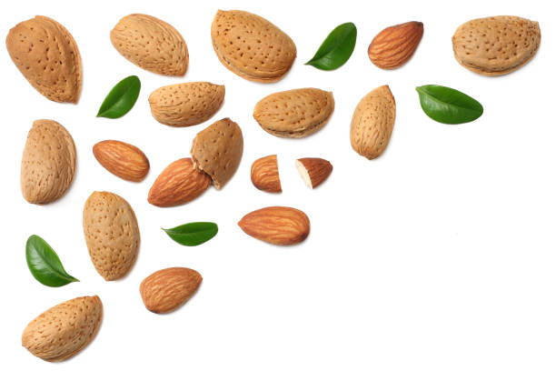 istock almonds with green leaves isolated on white background. top view. 1125585749