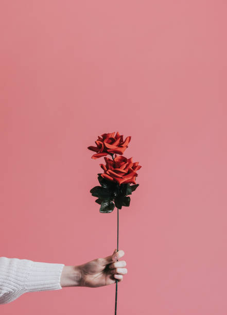istock Giving a rose for Valentines day 1125587085