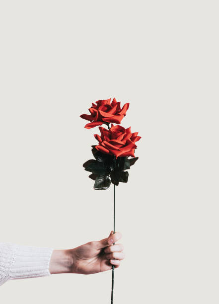 istock Giving a rose for Valentines day 1125587115