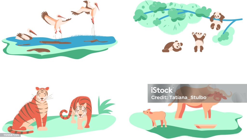 Set of Wild animal Set of Wild animal. Cute baby Panda bears climbing tree, Pelicans in different poses, two Tigers, Indian bull with baby in flat cartoon style. Vector illustration Animal Wildlife stock vector