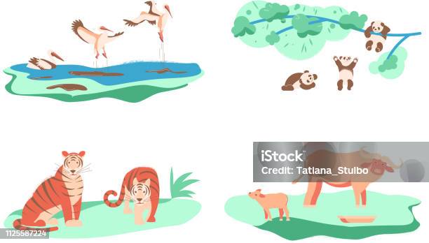 Set Of Wild Animal Stock Illustration - Download Image Now - Animal Wildlife, Volunteer, Accidents and Disasters