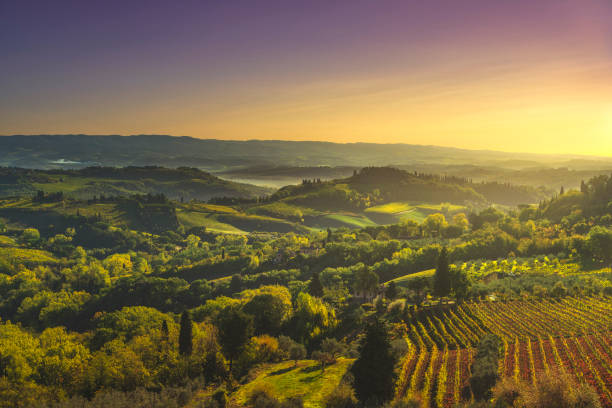 панорамный вид на сельскую местность и виноградники кьянти из сан-гиминьяно. тоскана, италия - tuscany italy tree cypress tree стоковые фото и изображения
