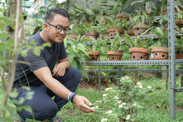 istock Gardening Southeast Asia Man 1125589114
