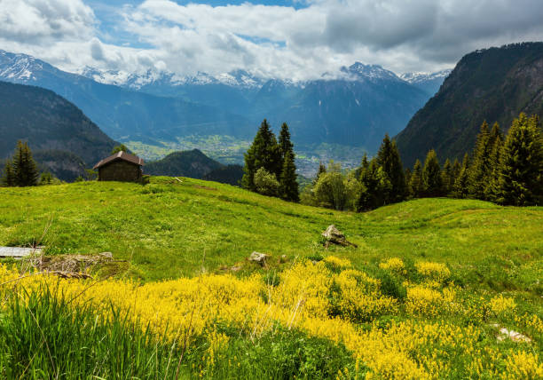 istock Summer Alps mountain, Switzerland 1125590642