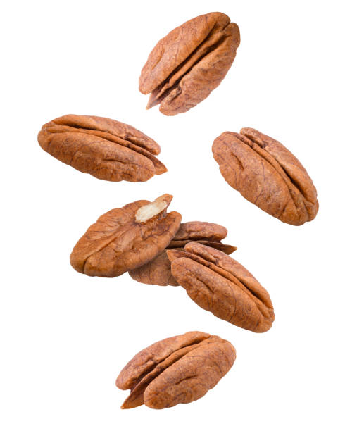 떨어지는 피칸, 너트, 흰색 배경, 클리핑 패스, 필드의 전체 깊이에 고립 - pecan nut isolated protein 뉴스 사진 이미지