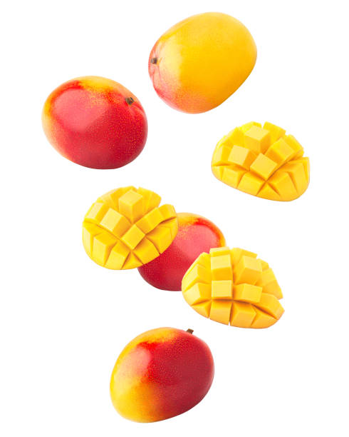Falling mango isolated on white background, clipping path, full depth of field