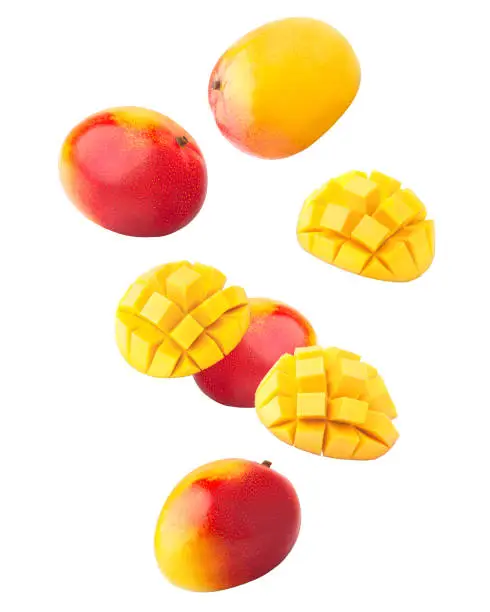Photo of Falling mango isolated on white background, clipping path, full depth of field