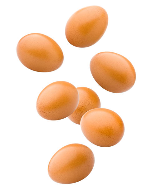 Falling chicken egg, isolated on white background, clipping path, full depth of field
