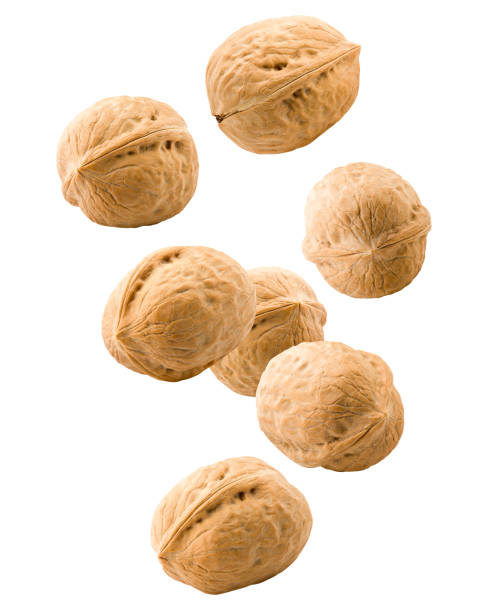 istock Falling walnut, nut, isolated on white background, clipping path, full depth of field 1125591793