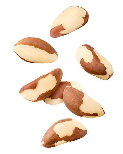 istock Falling brazil nut, isolated on white background, clipping path, full depth of field 1125591803