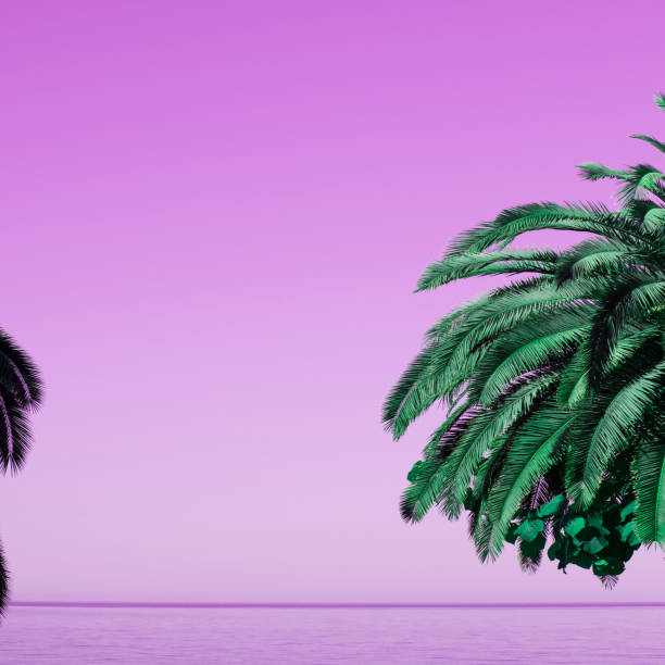 istock saturated pink sky and sea with palm tree, tropical background 1125602644
