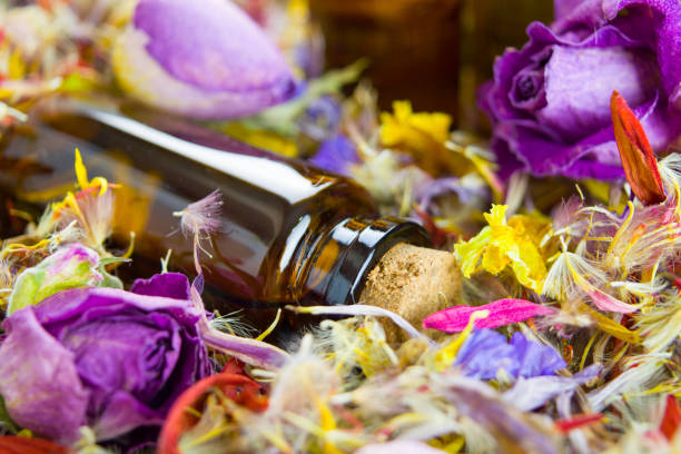 istock Essential oils, aromatherapy, dry flowers 1125603061
