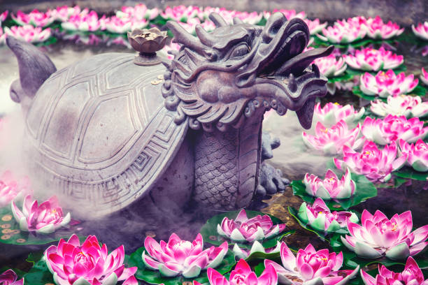 istock Beautiful Lotus flower in pond 1125604407