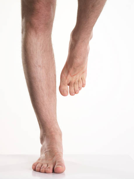 male hairy legs isolated on white - hairy men sensuality human muscle imagens e fotografias de stock