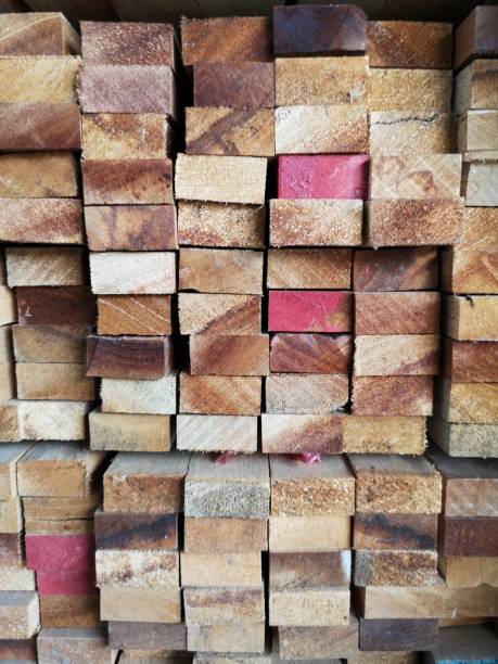 istock Wood stack Stacked together cross section Nature cut into pieces for decorating work or Structure material 1125607571