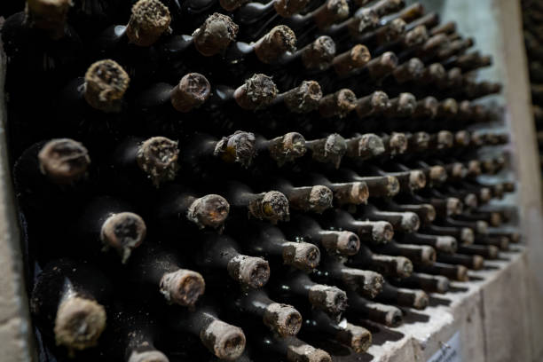 istock Rack full of wine bottles aging in wine cellar 1125609852