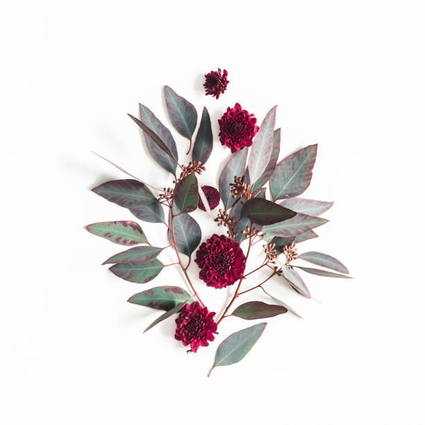 istock Flowers composition. Eucalyptus leaves and pink flowers on white background. Flat lay, top view, square 1125610374
