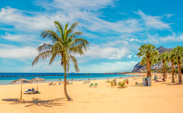 sandy und teresitas strand auf teneriffa - andres stock-fotos und bilder