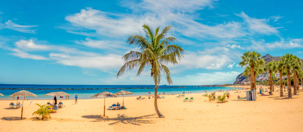 sandy and beautiful teresitas beach in tenerife - teresitas imagens e fotografias de stock