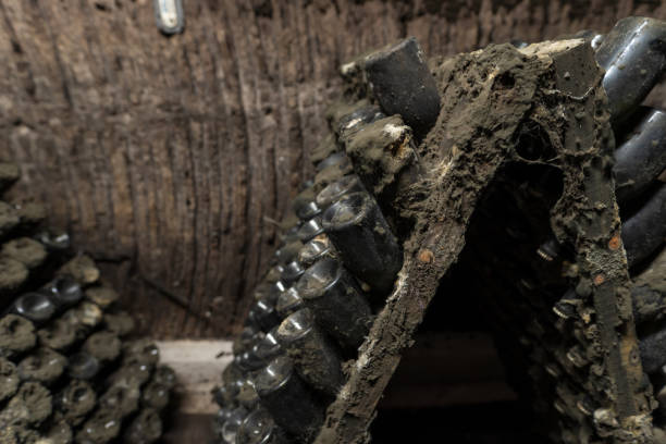 istock Wine racks with old bottles covered in dust and natural mold 1125611477
