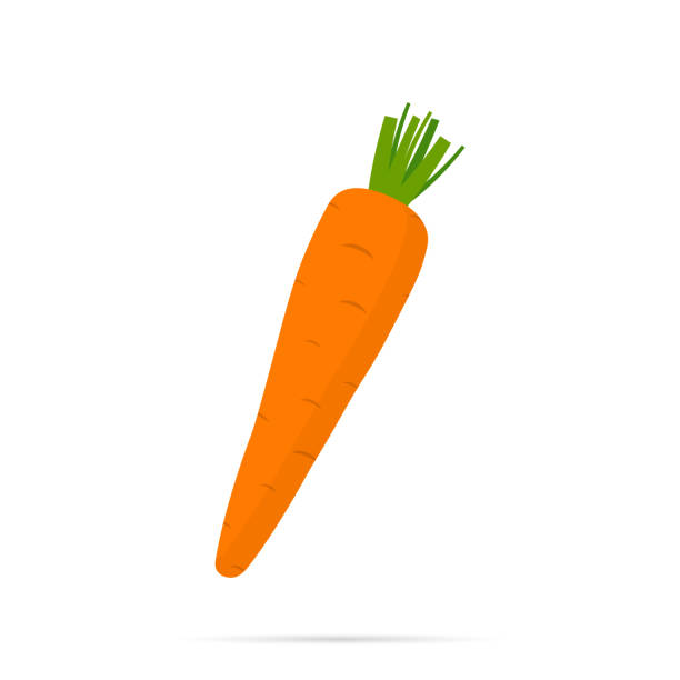 Carrot icon with shadow Carrot icon with shadow. Vector icon eps10 carrot stock illustrations