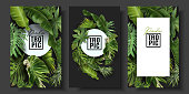 istock Vector banners set with green tropical leaves 1125612431
