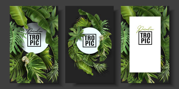 Vector banners set with green tropical leaves Vector banners set with green tropical leaves on black background. Exotic botanical design for cosmetics, spa, perfume, beauty salon, travel agency, florist shop. Best as wedding invitation cards tropical climate stock illustrations