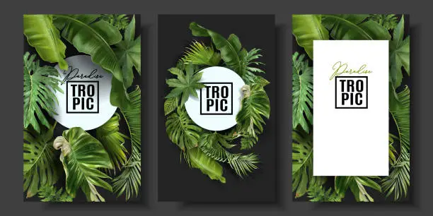 Vector illustration of Vector banners set with green tropical leaves