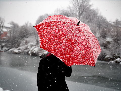 Young female adult is outdoor with red umbrella during nice snowfall winter day.Pine forest and river in background.