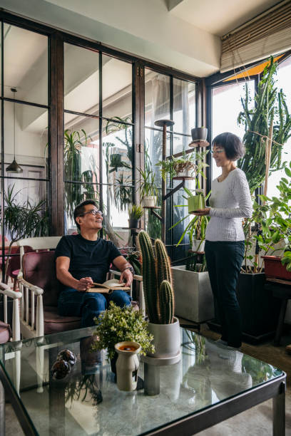 istock Cheerful Chinese couple chatting in conservatory with plants and cacti 1125619232